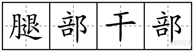腿部干部